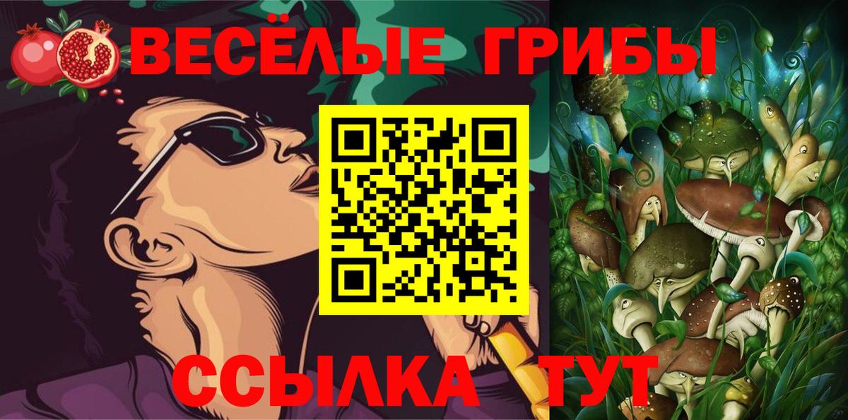 Галлюциногенные грибы мицелий  Галлюциногенные грибы Psilocybe  Кушва  Вход с VPN 